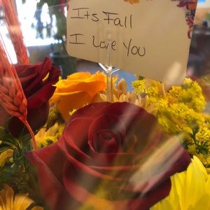 Meet your Posher, Minerva